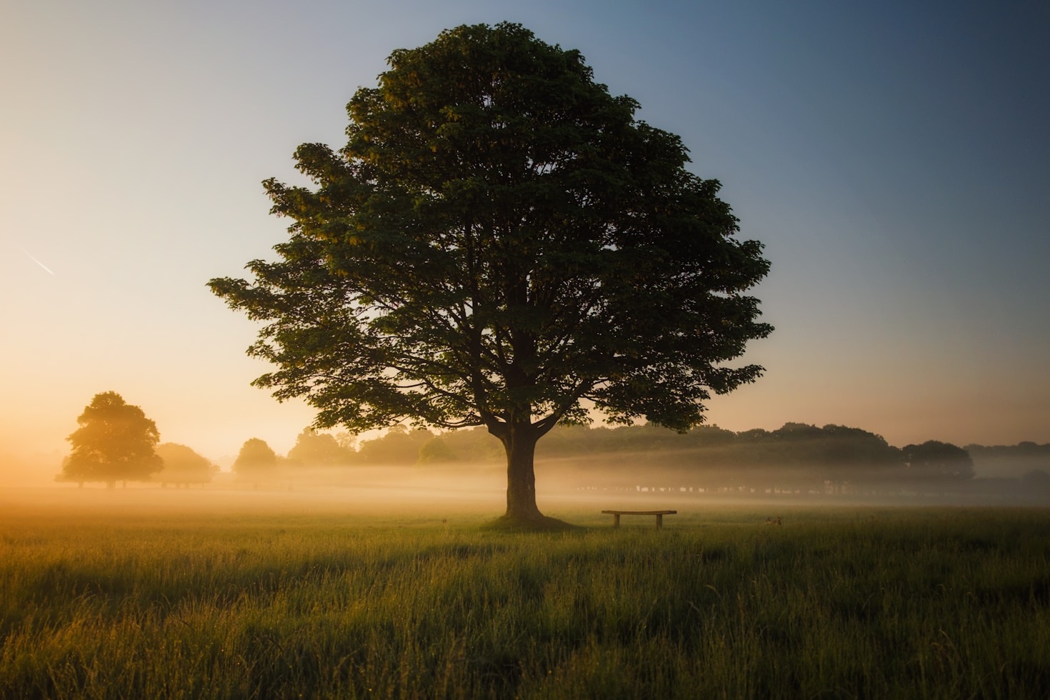 Gesunde Gewohnheiten: Mit Meditation starten