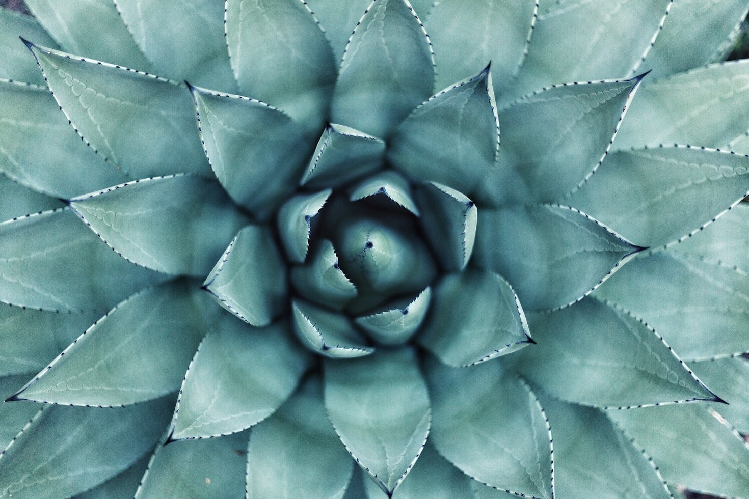 Der Einfluss von Meditation auf das Nervensystem